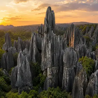 Stone Forest limestone formations
