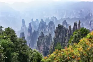 Sandstone pillar of Zhangjiajie shrouded in morning mist