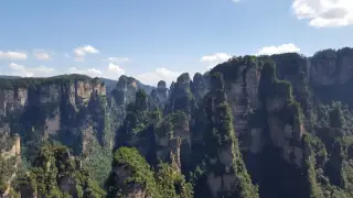 Zhangjiajie's quartz-sandstone pillars rising from subtropical forest