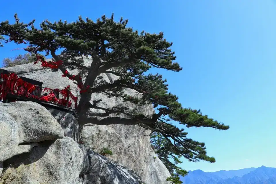 Granite cliffside path of Mount Hua winding up the sheer face