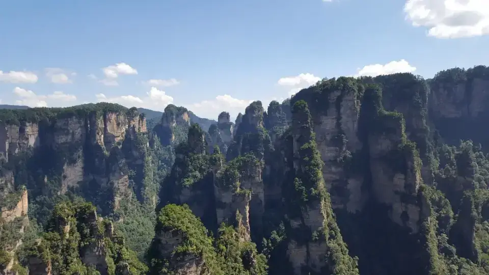Zhangjiajie's quartz-sandstone pillars rising from subtropical forest